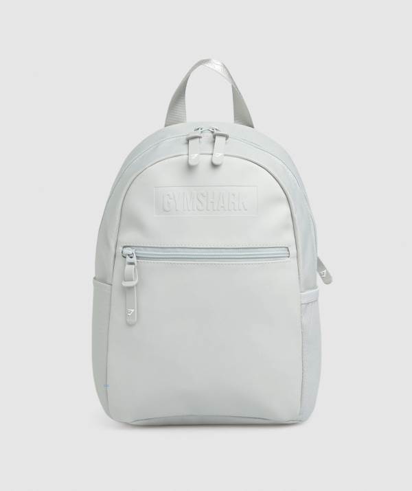 Panske Batohy Gymshark Everyday Mini Svetlo Siva | ET5967048